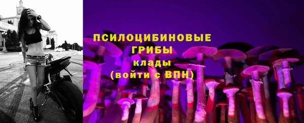 мяу мяу мука Верхний Тагил