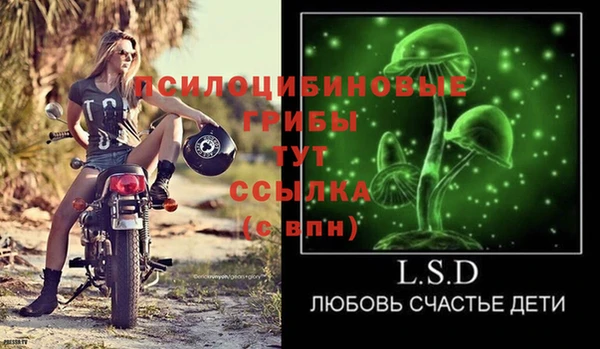 дмт Россошь