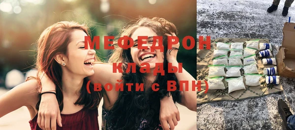 гидра Богородск