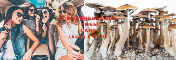 мяу мяу мука Верхний Тагил