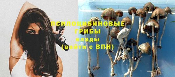 прущие крисы Верхнеуральск