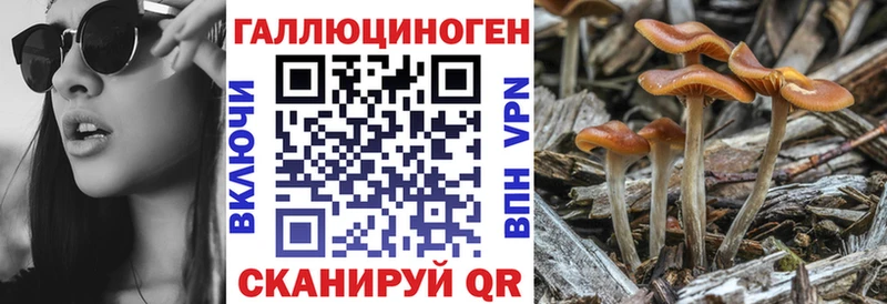 Галлюциногенные грибы мухоморы  где купить   Выкса 